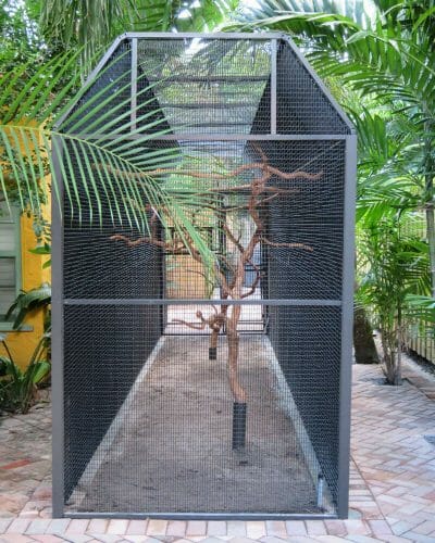 custom bird cages