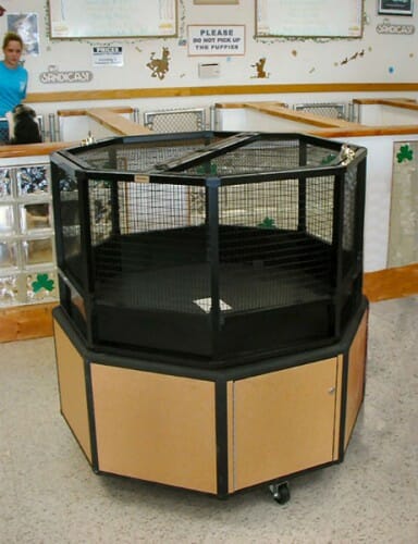 Custom Reptile Cages by Cagemasters